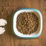melhor ração para cachorro