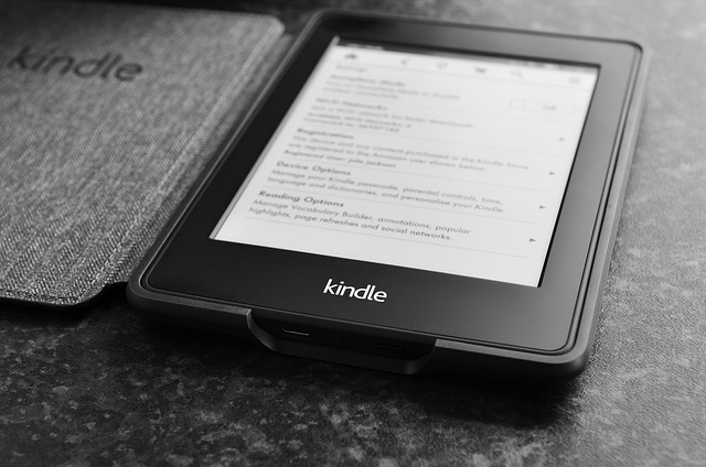 o que é kindle